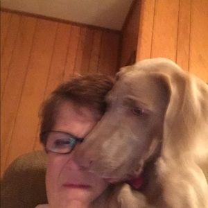 Meet your Posher, Alisa